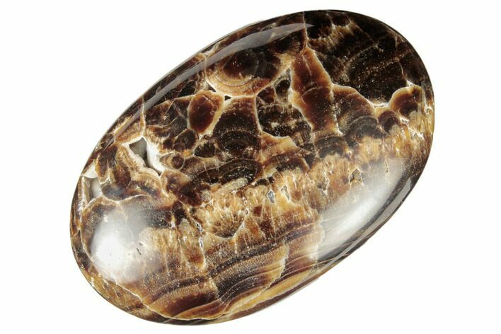 Polished Chocolate Calcite Palm Stone - Pakistan #187894